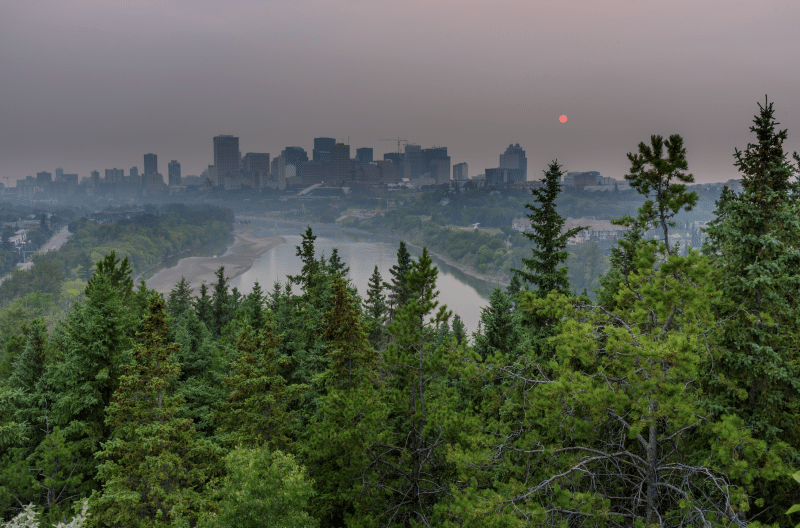 Smok in Edmonton Alberta
